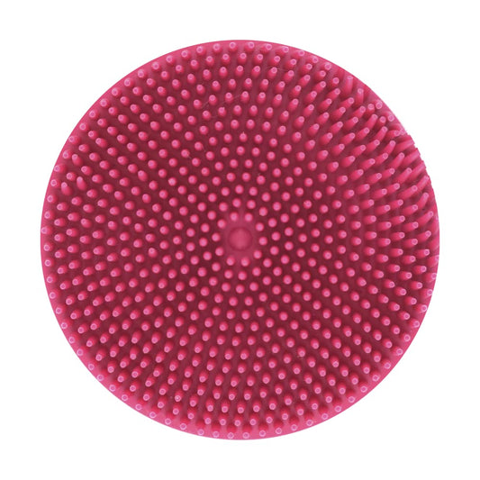 Fancy Pets Expert Grooming Goma Limpiadora de Pelo para Perro