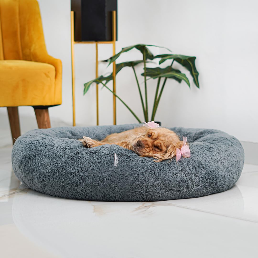 Furbedz Cama para Perro Mediano, diseño antiestrés, Cama Lavable con Funda extraíble intercambeable, Felpa ultrasuave, Forro Interno, Soporte ortopédico Memory Foam, Base Impermeable