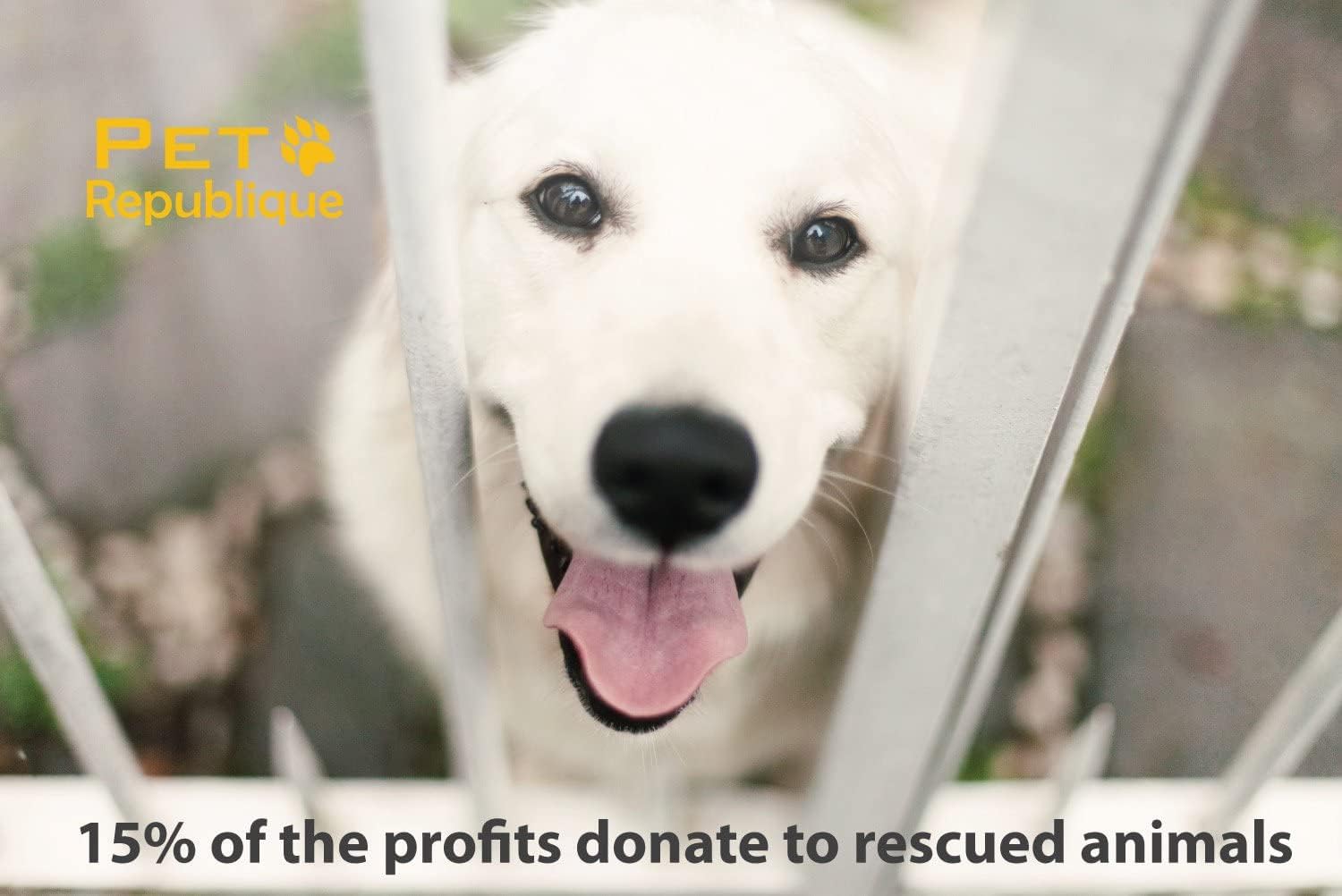 Pet Republique - cepillo para polvo de dientes con mango para perros y gatos, silicona súper suave, estilo de inserción de dedos (3 unidades), Gris, Azul, Rojo