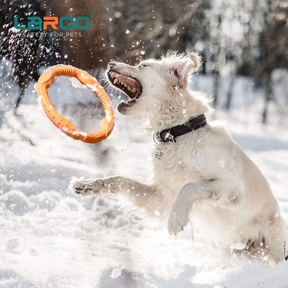 Juguetes para Perros LaRoo Naranja Flotantes para Masticadores Agresivos