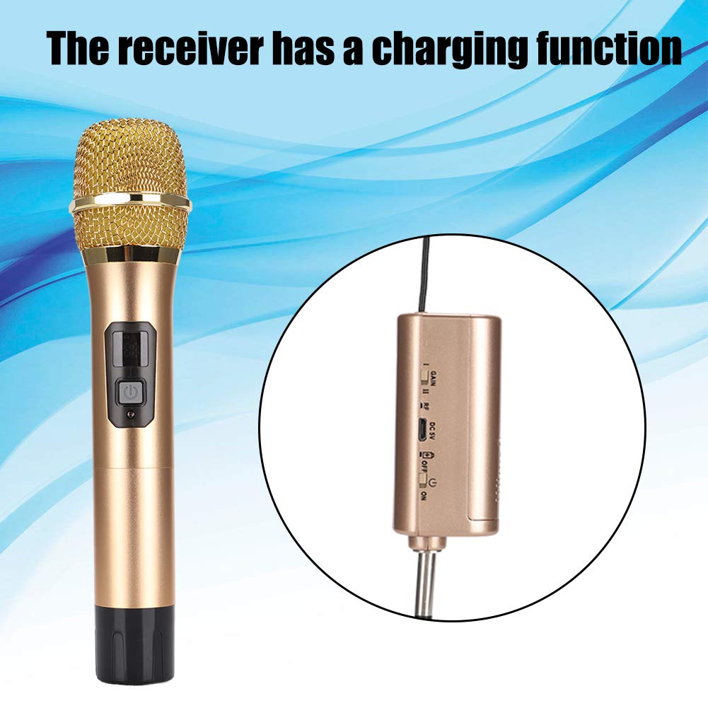 Micrófono Inalámbrico Dual Recargable UHF con Mini Receptor Bluetooth para Negocios, Iglesia y Hogar