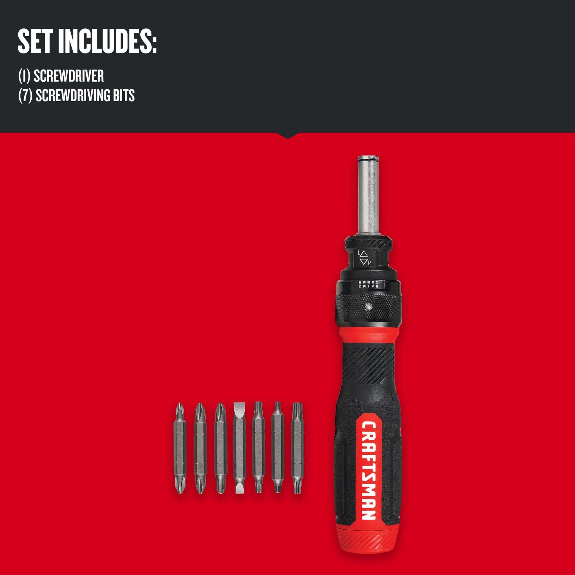 CRAFTSMAN - Destornillador de carraca, SpeedDrive, puntas de doble punta de 2 pulgadas, mango con capacidad para hasta 6 puntas (CMHT68129)