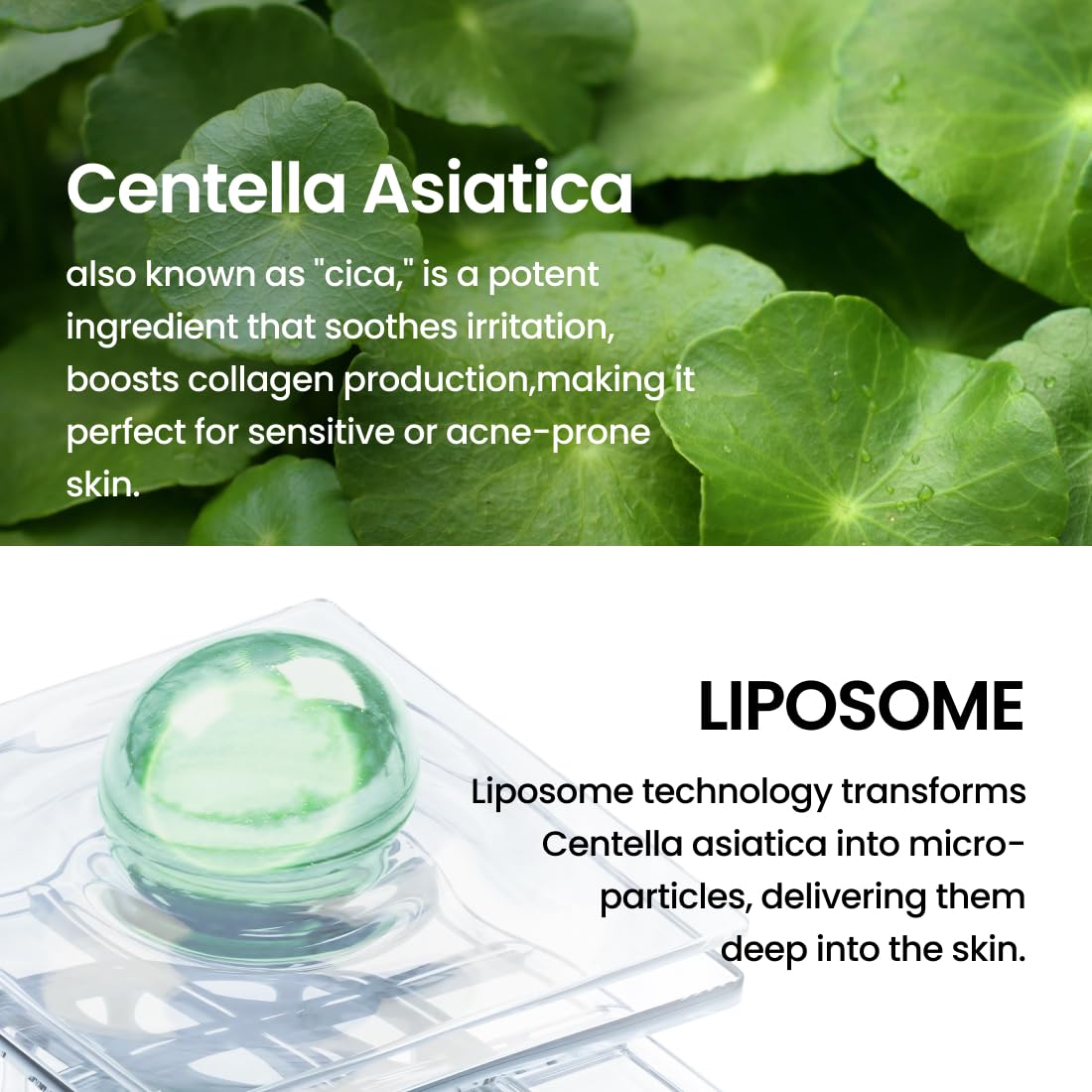 Delphyr Suero Calmante Suave Con Liposomas, Nutritivo Y Ligero Para Pieles Sensibles Con Centella Asiática Y Teca, Cuidado De La Piel Coreano Para Pieles Problemáticas 1,01 Onzas Líquidas (Paquete