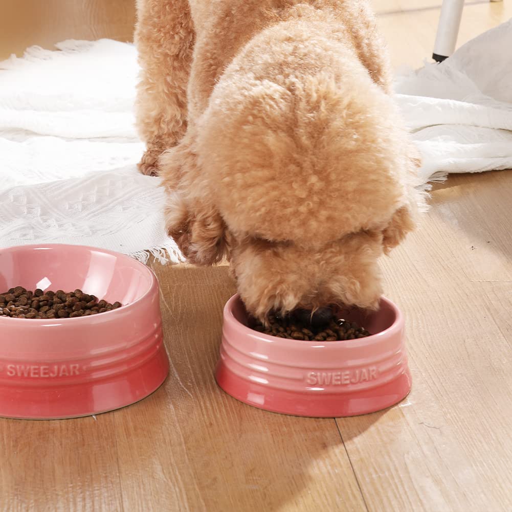 Cuenco de Cerámica SWEEJAR Rosa Degradado para Perros y Gatos Grandes