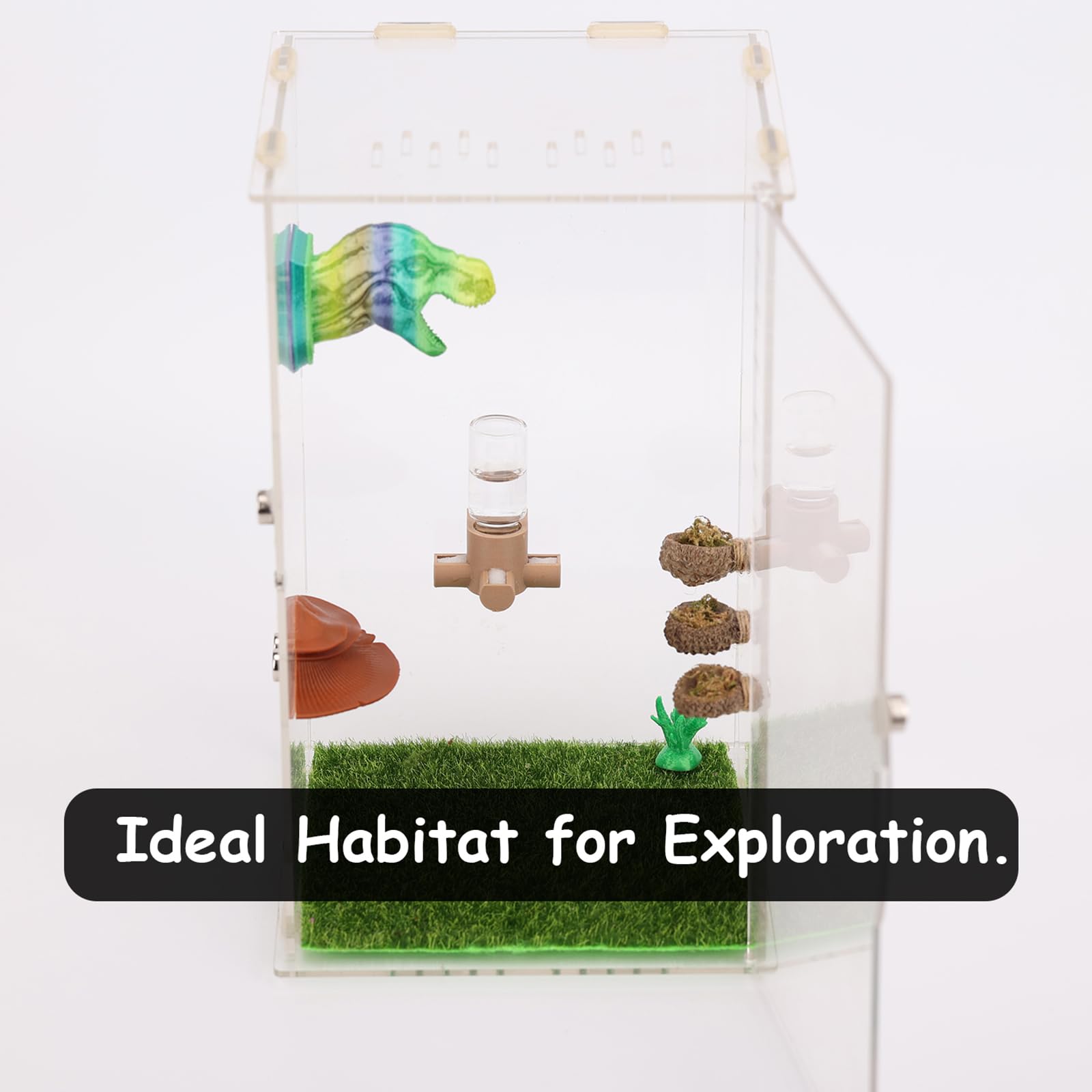 Dispensador de Agua Magnético para Arañas Saltadoras y Animales Arbóreos