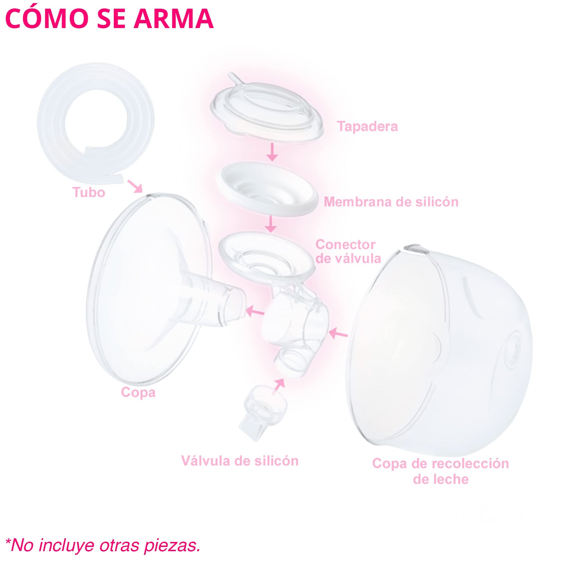 Protector Antireflujo Spectra Transparente para Copa Manos Libres