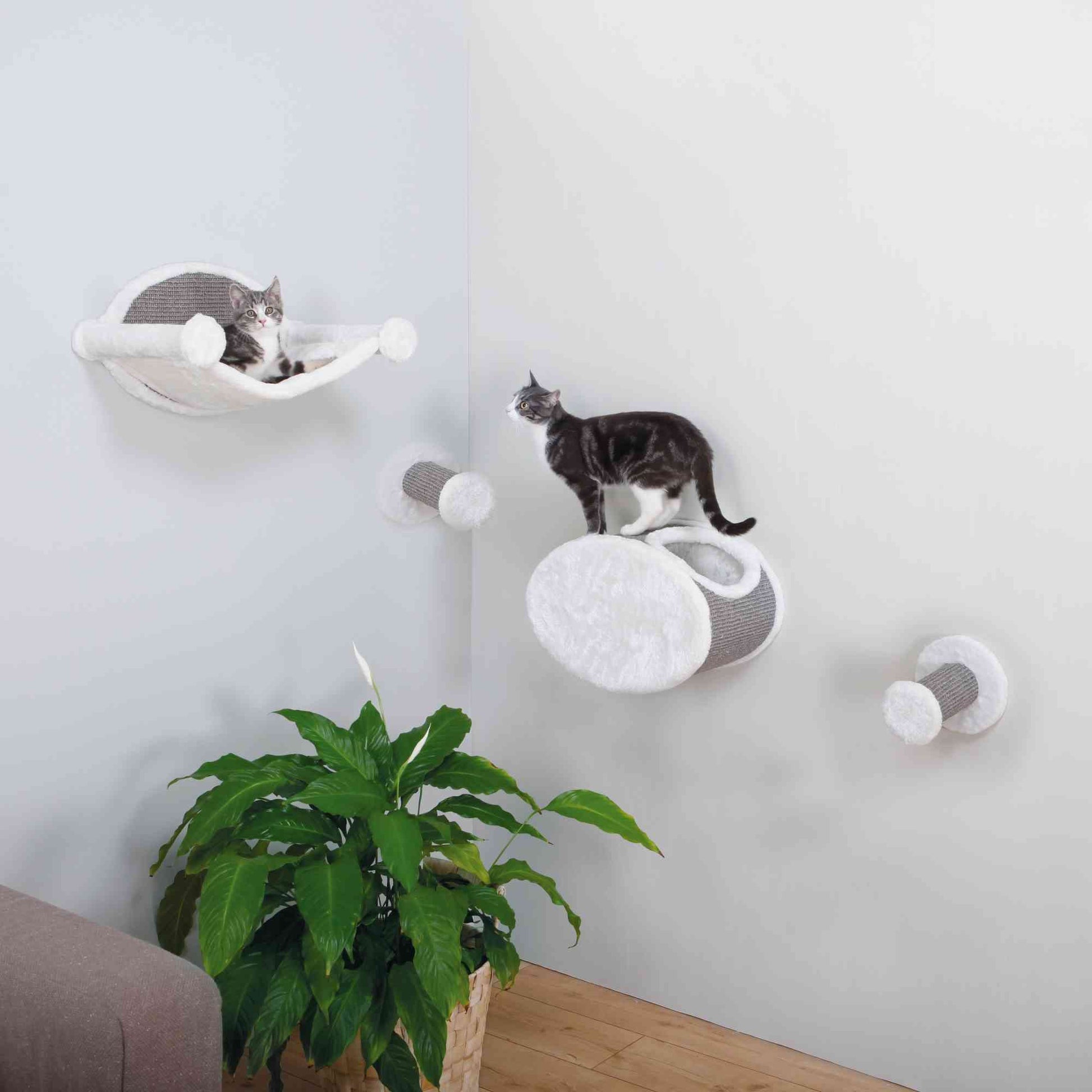 Trixie Pet Products Wall-Mounted Cat Lounging Set