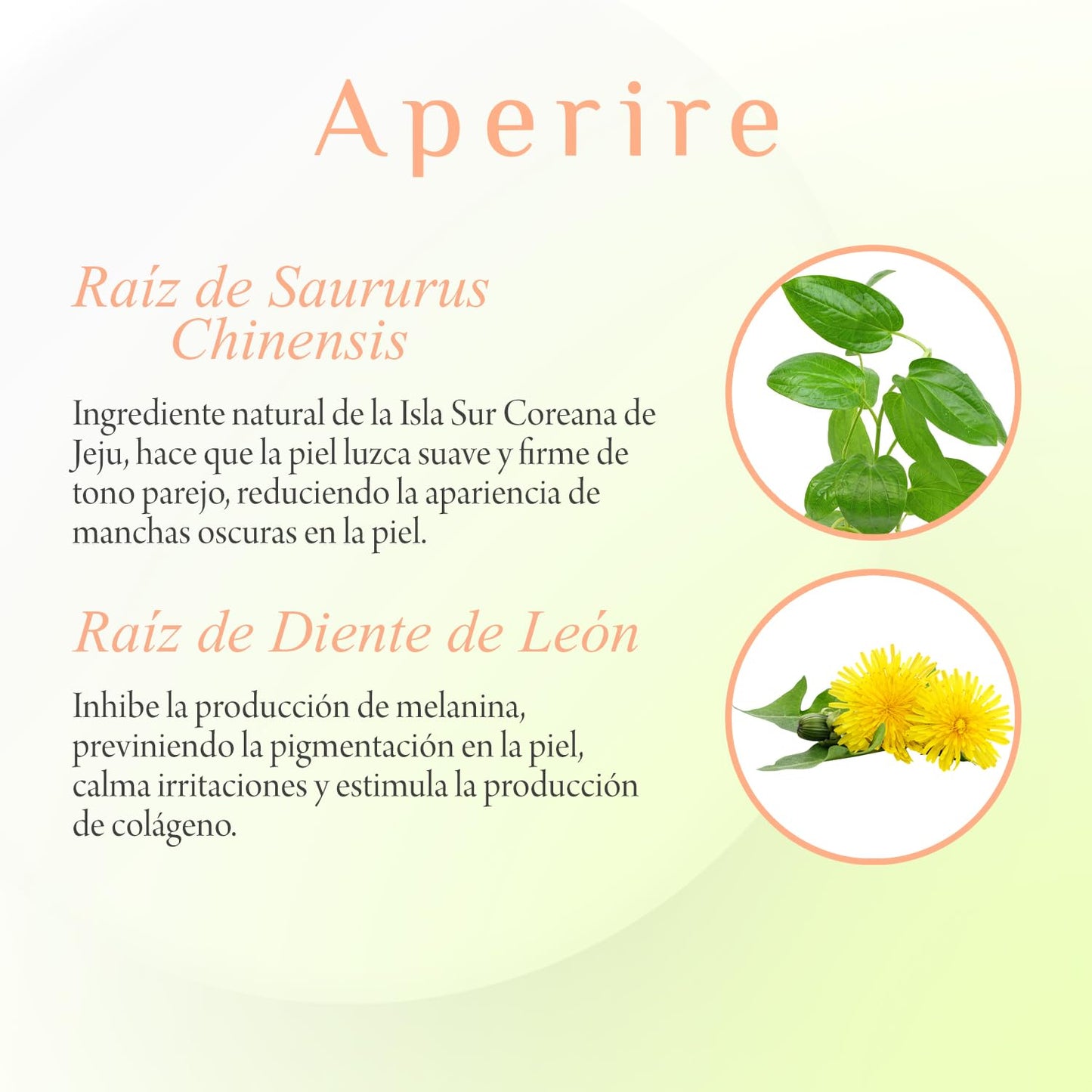 Serum Coreano Super Origin Rebirth Root Aperire 30ml | Hidratación y Calma para Piel Sensible | Centella Asiática | Root Cureplex con 5 Raíces | Skin Care Coreano K-Beauty