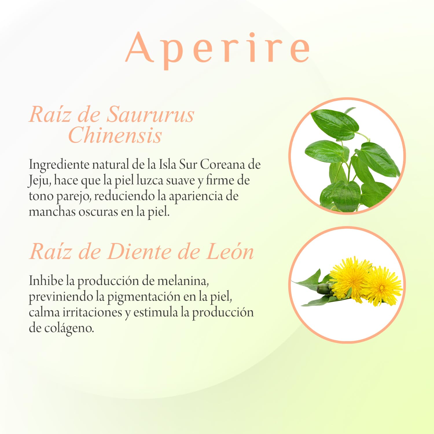 Serum Coreano Super Origin Rebirth Root Aperire 30ml | Hidratación y Calma para Piel Sensible | Centella Asiática | Root Cureplex con 5 Raíces | Skin Care Coreano K-Beauty