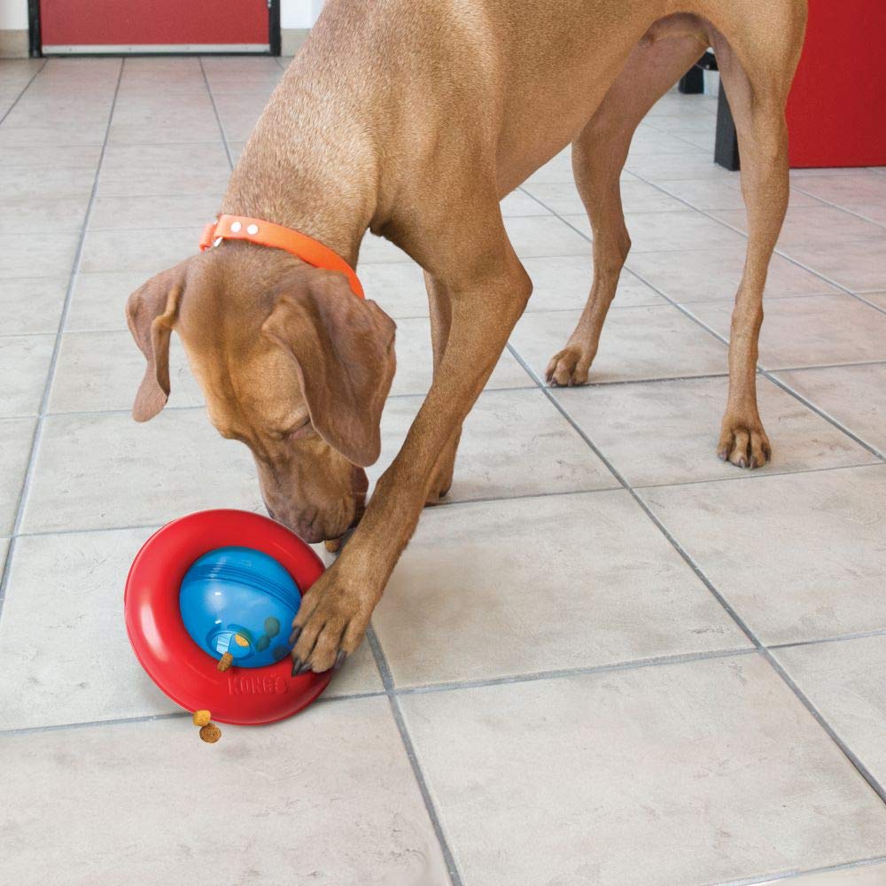 Kong Interactive Gyro Toy, color Rojo con Azul, Chico