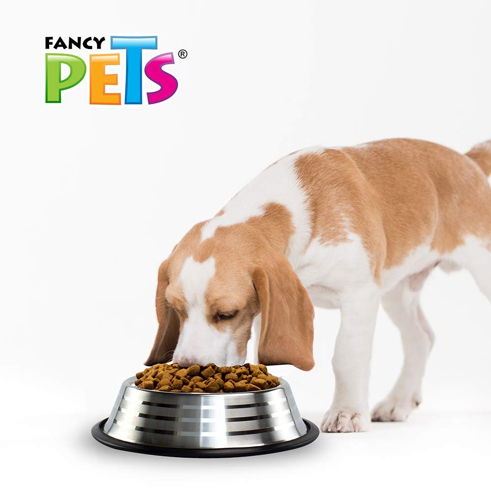 Plato Estriado de Acero Inoxidable Fancy Pets Antiderapante para Perro 32 Onzas