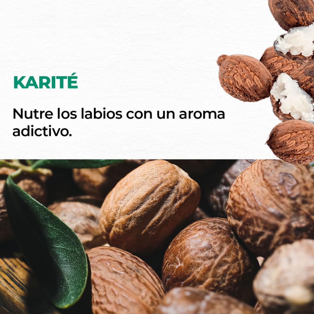 Yves Rocher 3 PACK de Bálsamos humectantes para labios, con Vitamina E y Aceites naturales, sin color: 1 Labial aroma a COCO + 1 Labial aroma KARITÉ + 1 Labial aroma Vainilla (4.8g C/U)
