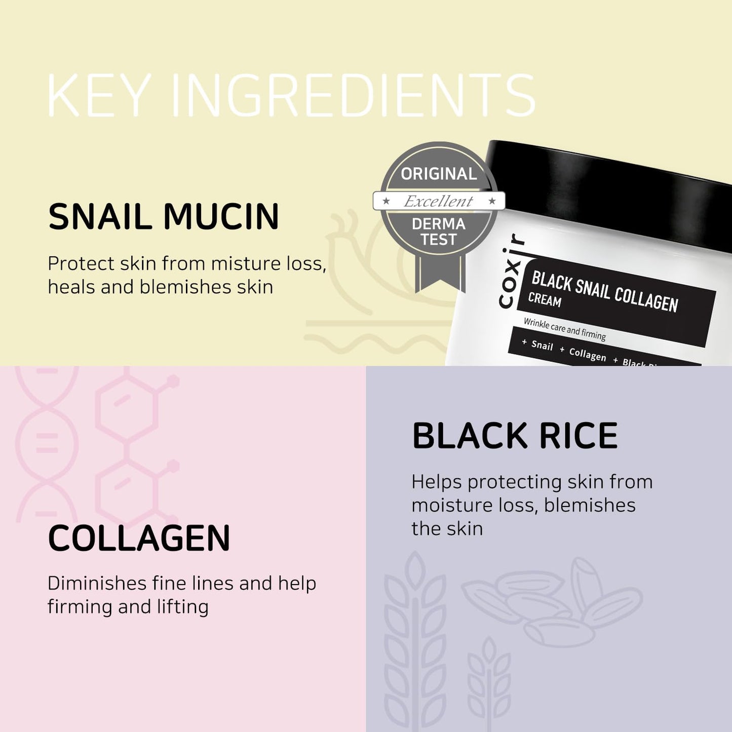 COXIR [Coxir] Crema de colágeno de caracol negro (50 ml) | Mucina de caracol, colágeno, frijoles negros, sin parabenos, sin crueldad, cuidado de la piel coreana