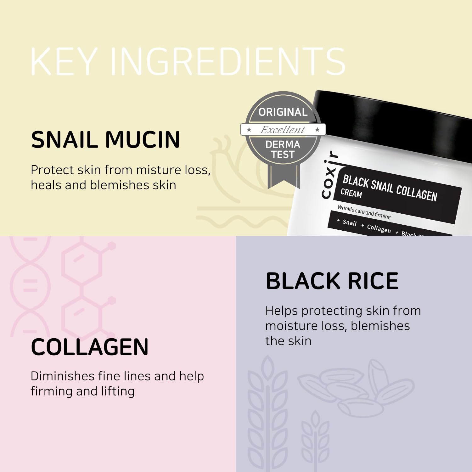COXIR [Coxir] Crema de colágeno de caracol negro (50 ml) | Mucina de caracol, colágeno, frijoles negros, sin parabenos, sin crueldad, cuidado de la piel coreana