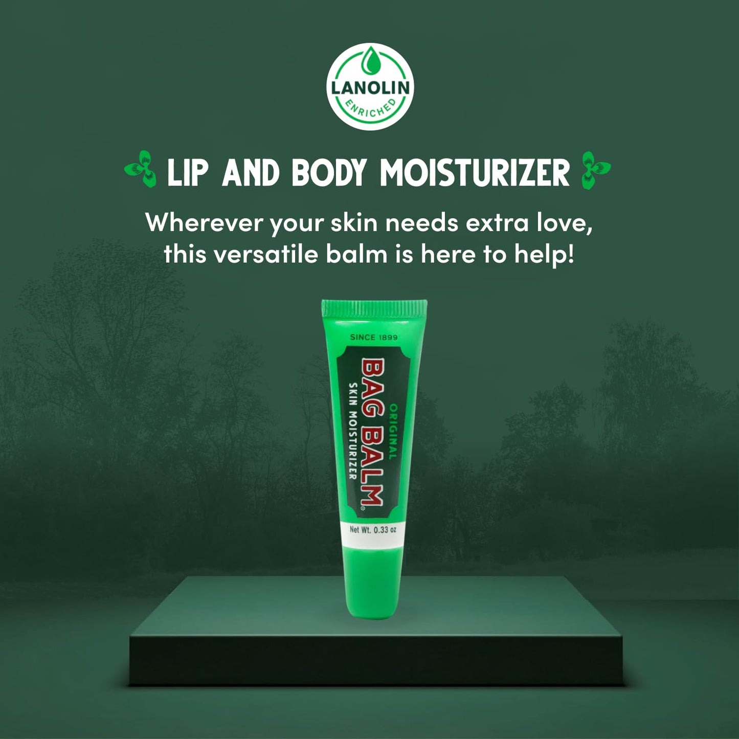 Bag Balm Lip Moisturizer Gift Box (Set of 4)
