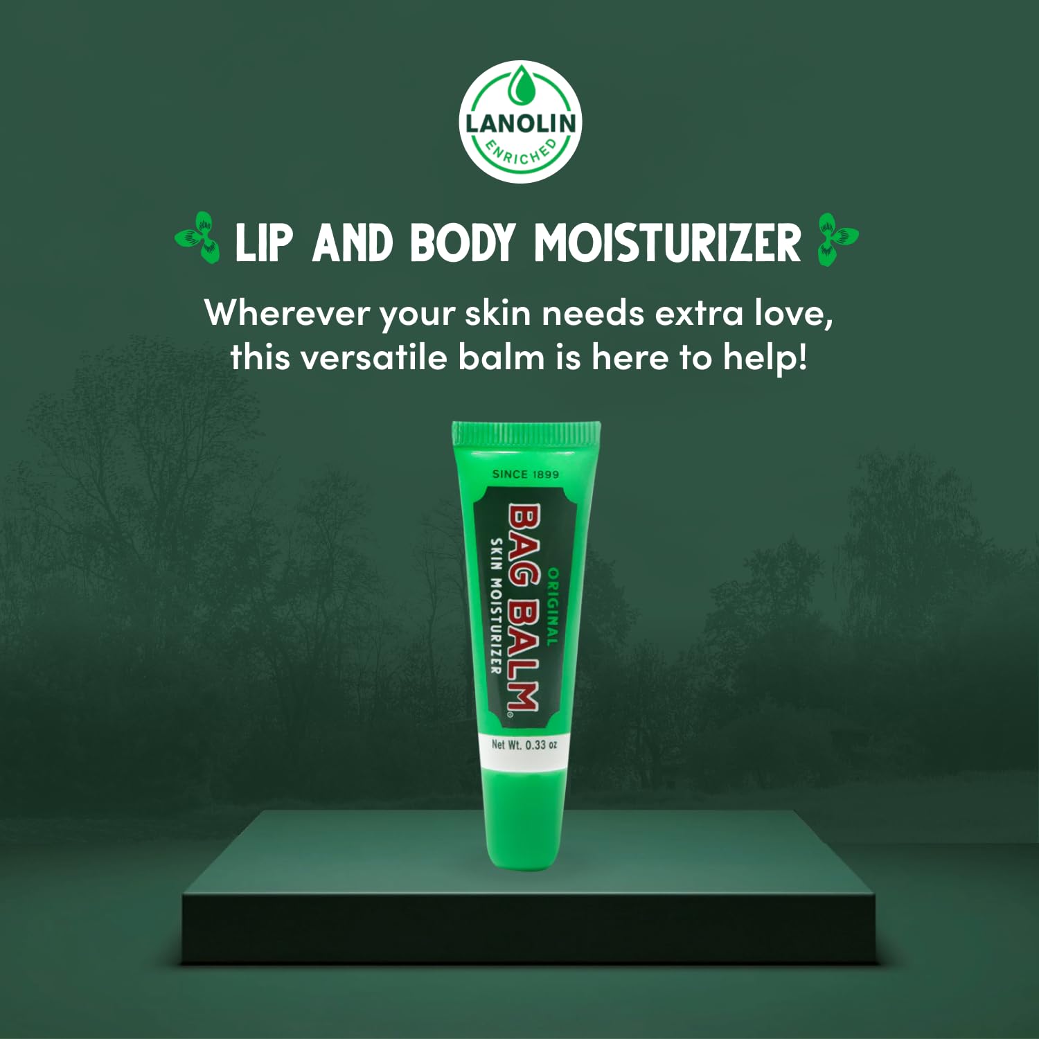Bag Balm Lip Moisturizer Gift Box (Set of 4)