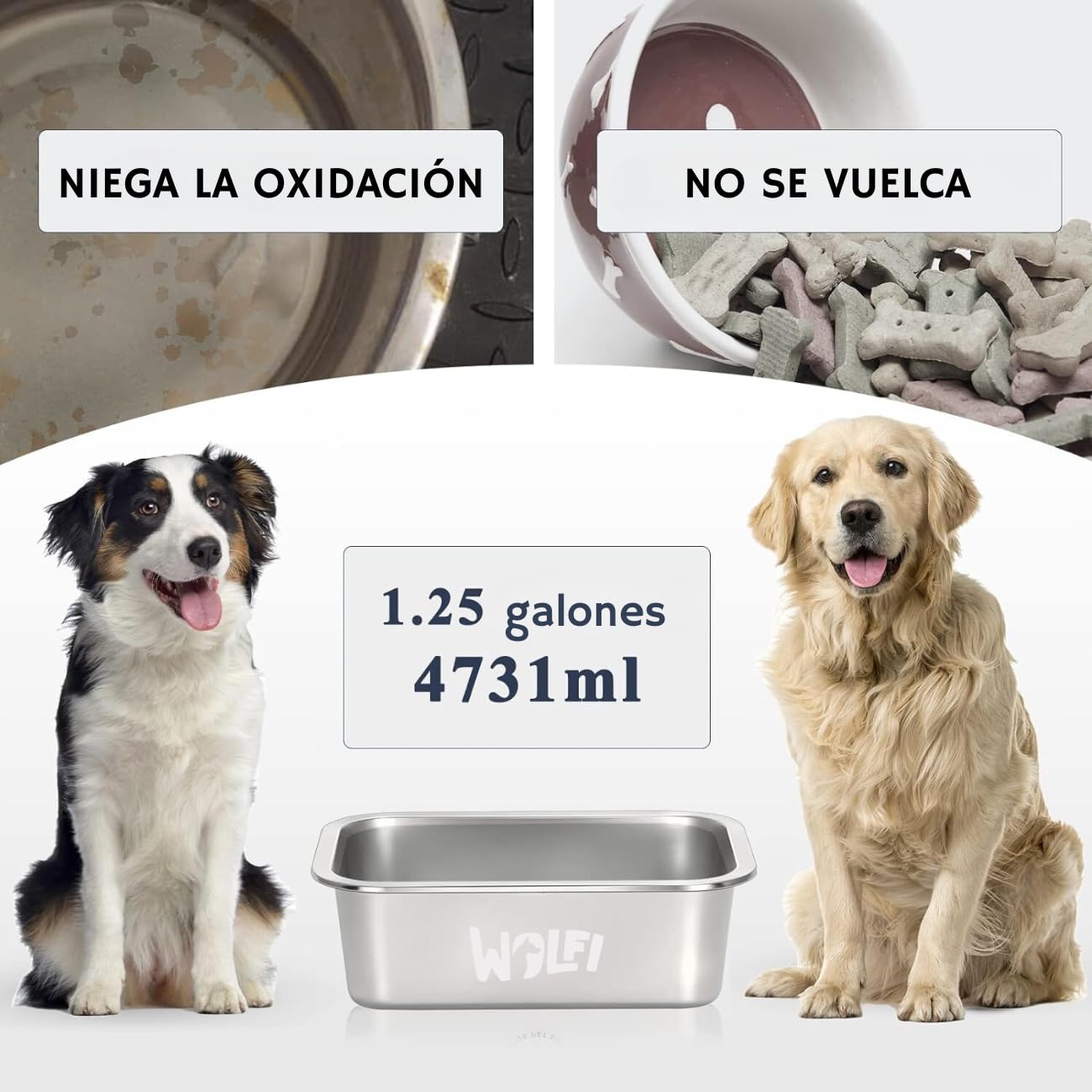 Plato para Perro Wolfi Acero Inoxidable Alta Capacidad para Perro Grande