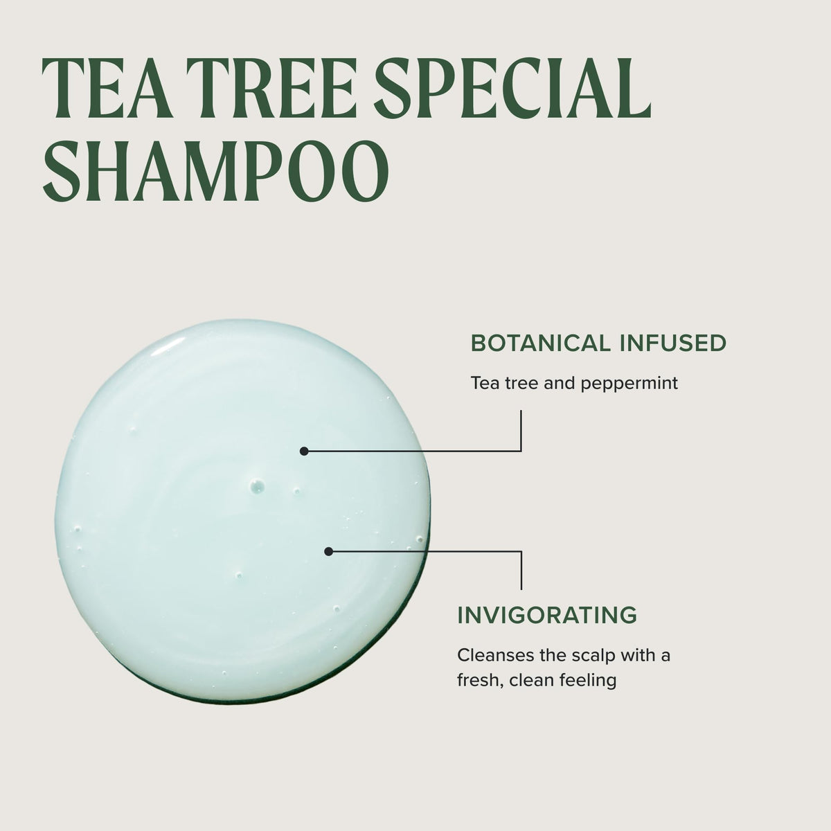 Tea Tree Special Champú, Limpieza Profunda, Refresca el Cuero Cabelludo, Para Todo Tipo de Cabello, Especialmente Cabello Graso, 1000 ml