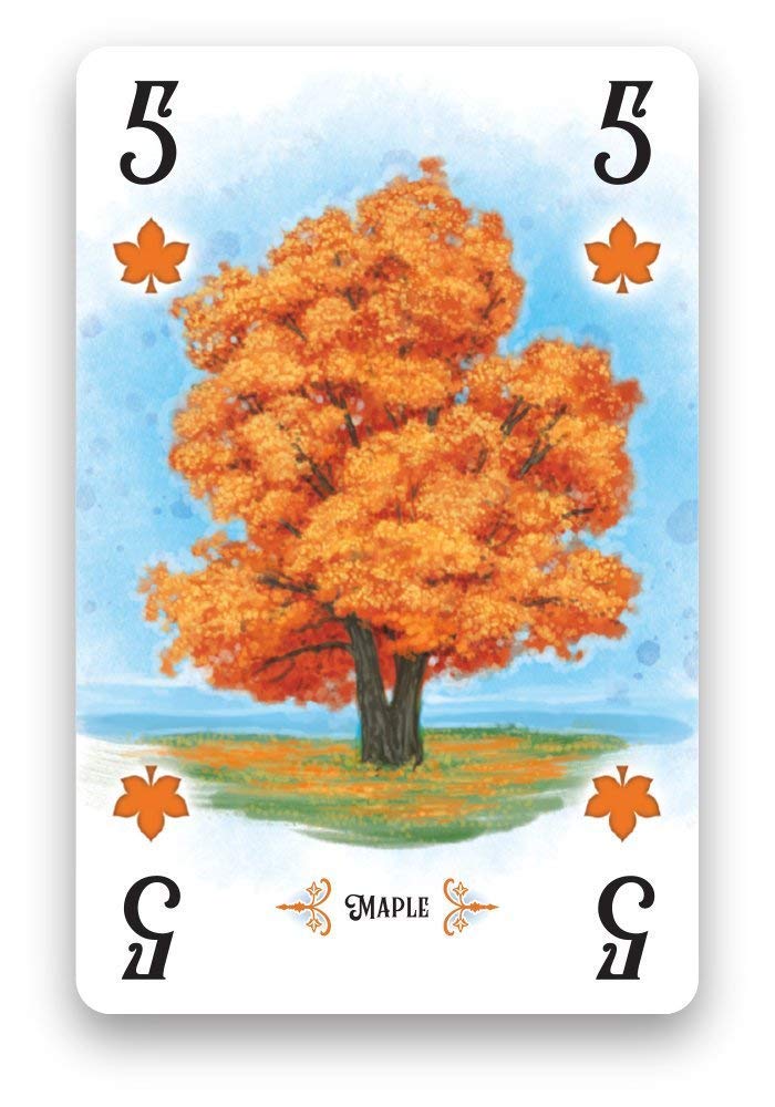 Juego de Cartas Strategy Arboretum Renegade Game Studios Que desafía a 2 a 4 Jugadores para Crear el jardín más Hermoso