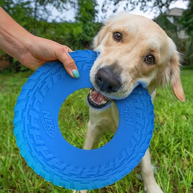 Frisbee Nerf Dog Azul Flotante y Duradero para Perros Razas Medias/Grandes