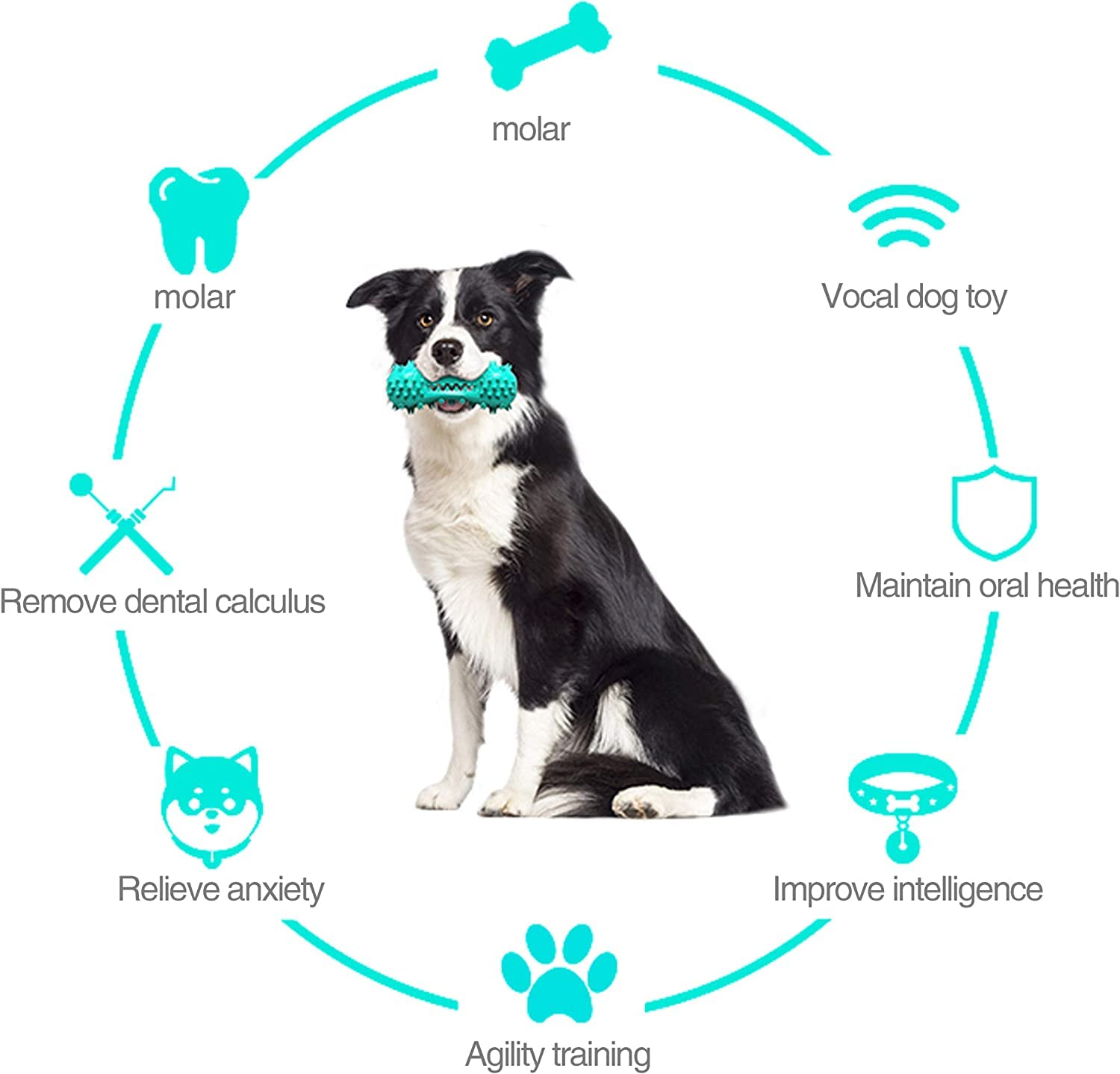 CERISURIO Cepillo De Dientes para Perros, Hueso De Palo para Limpiar Los Dientes del Perro, Cepillarse Los Dientes, Juguetes para Masticar La Dentición, Cuidado Bucal Dental para Perros Pequ