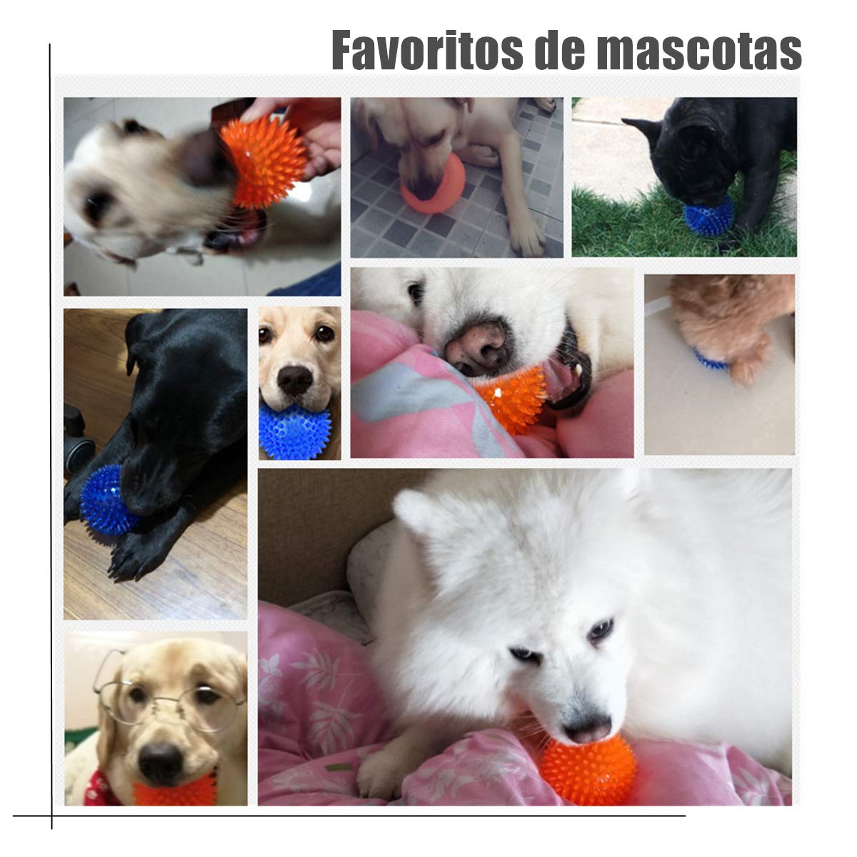 Pelota de Juguete para Perros Pequeños y Medianos Resistente a Mordeduras de Pelota Puntiaguda Azul