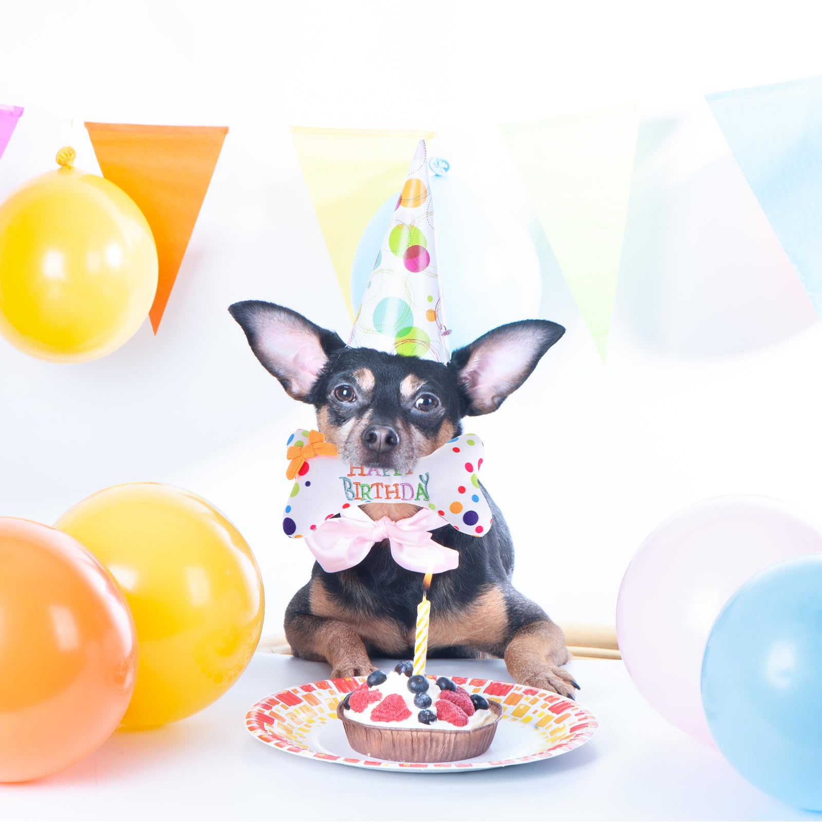 Housoutil - Juguetes de peluche para perros grandes, juguete de peluche con hueso de perro, juguete de feliz cumpleaños, juguete de perro con diseño de hueso masticable, juguetes de perro con temática