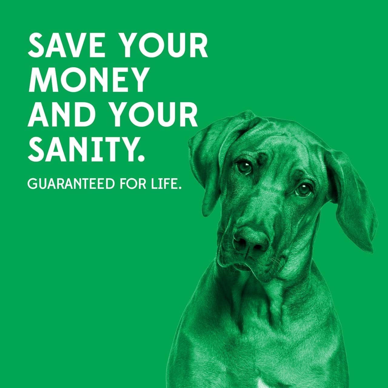 Goughnuts — Juguetes para Perros Que muerden agresivamente | Juguete de Arrastre prácticamente Indestructible para Razas como Pitbulls y pastores alemanes | Juguete de Arrastre Resistente para Perros