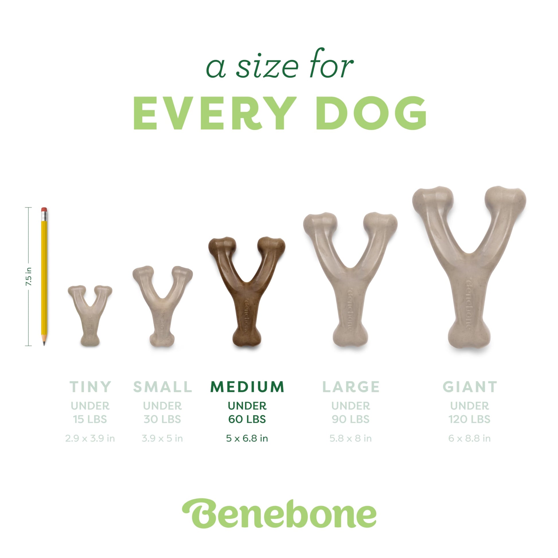 Benebone Peanut Butter Flavored Wishbone Chew Toy