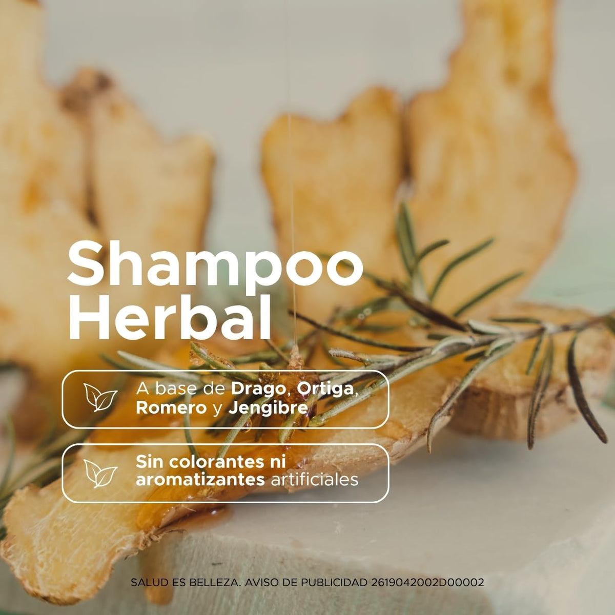 Shampoo Herbal PACALLI 2 Pack Con Jengibre, Romero, Sangre de Drago y Ortiga Ingredientes de origen natural