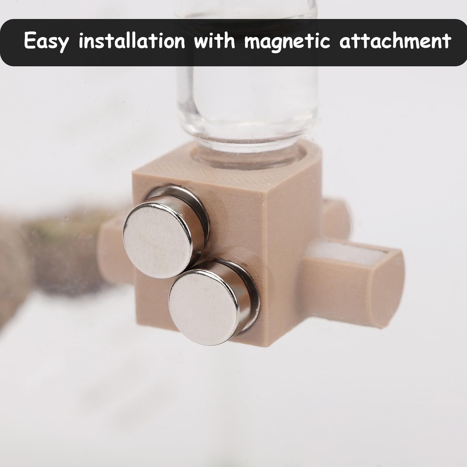 Dispensador de Agua Magnético para Arañas Saltadoras y Animales Arbóreos