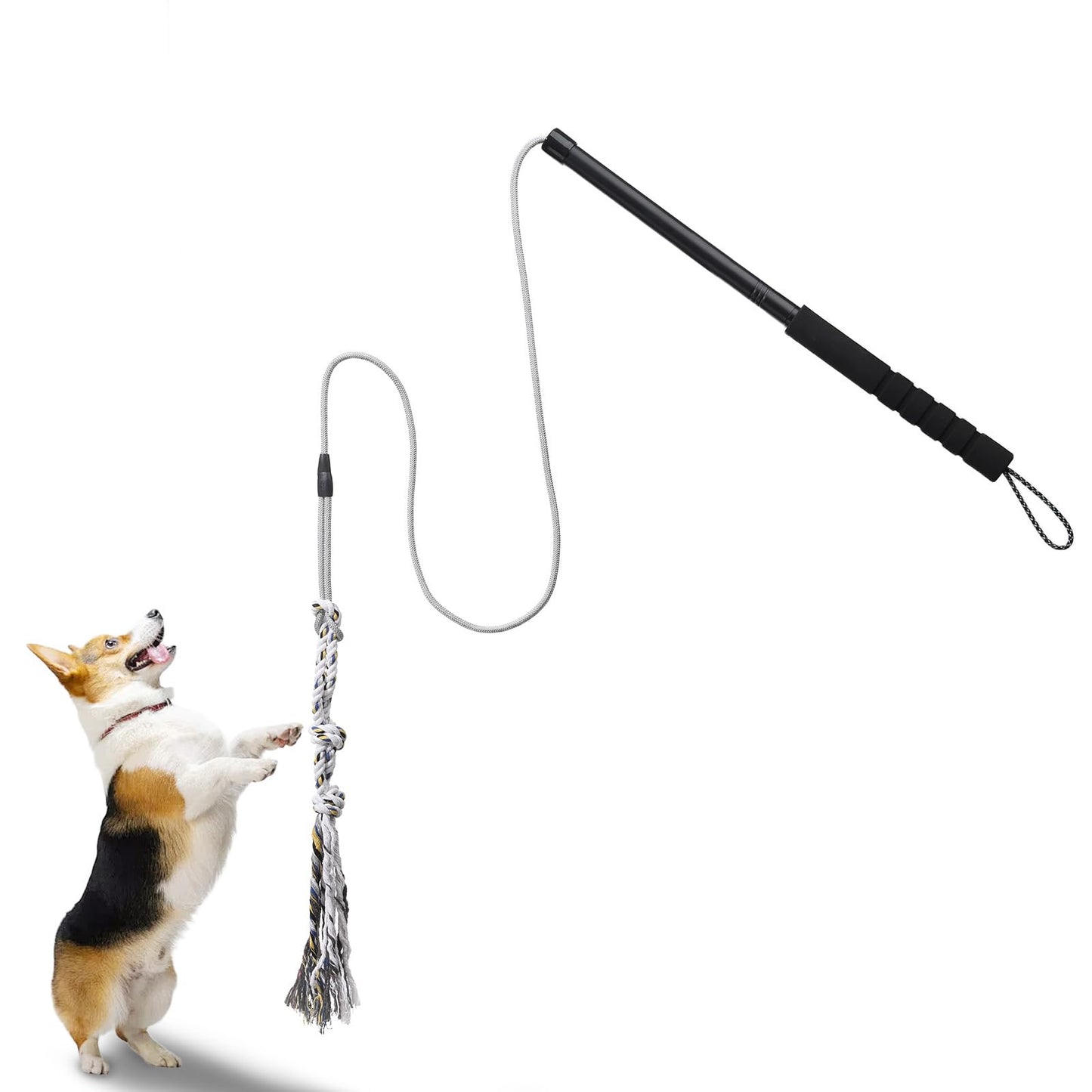 Gingull - Varita de coqueteo para perros – Varita interactiva para perros Chase and Tug of War - Barra de coqueteo para perros de alta resistencia, juguetes para masticar para dentición, juguetes