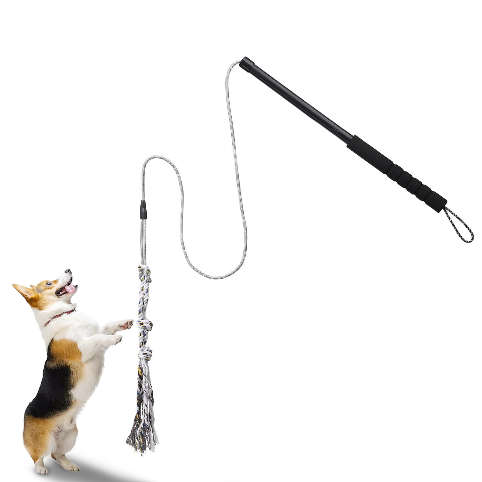 Gingull - Varita de coqueteo para perros – Varita interactiva para perros Chase and Tug of War - Barra de coqueteo para perros de alta resistencia, juguetes para masticar para dentición, juguetes