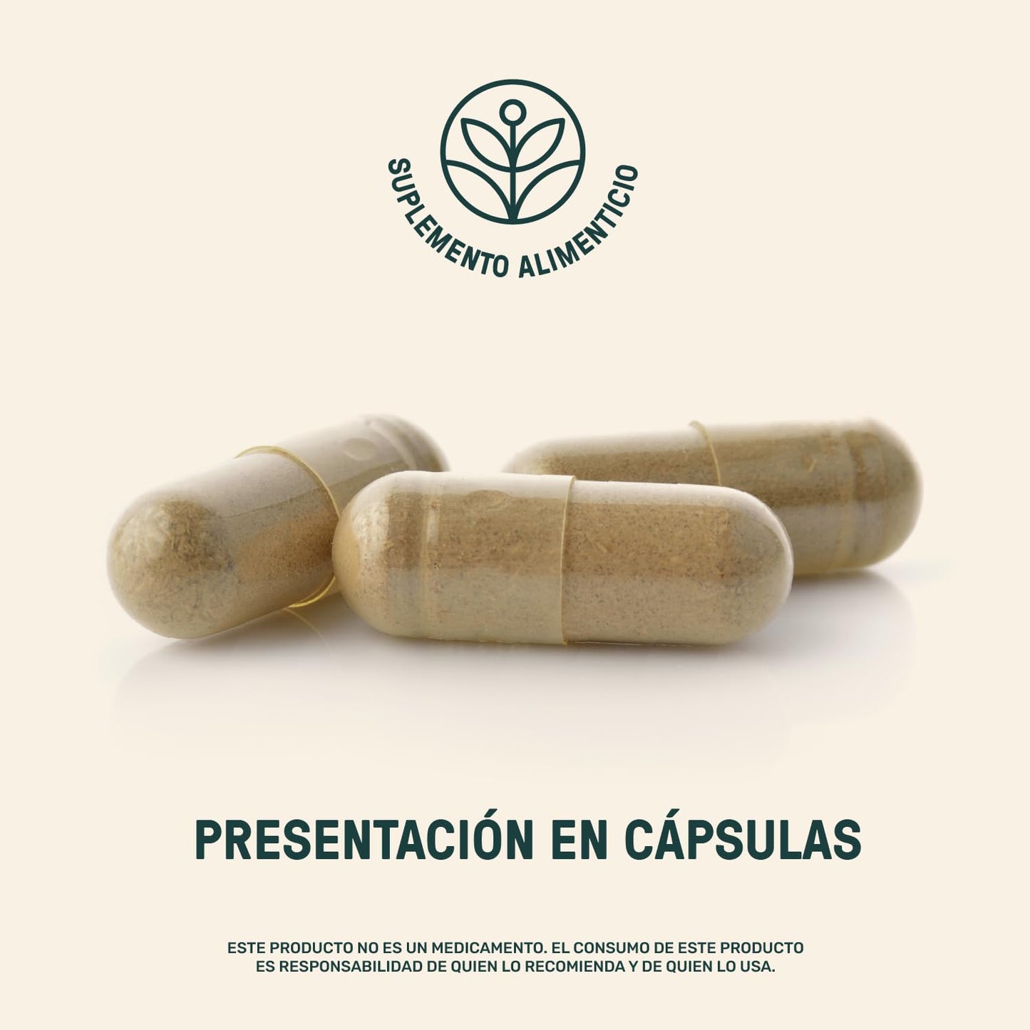 LIFE 360+ Rhodiola Rosea | 90 Cápsulas | 616 mg c/u | 45 Porciones | Suplemento Alimenticio a Base de Raíz Rhodiola Rosea en polvo | Tomar 2 cápsulas al día