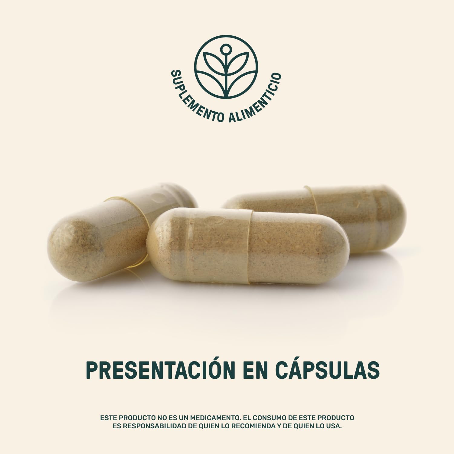 LIFE 360+ Rhodiola Rosea | 90 Cápsulas | 616 mg c/u | 45 Porciones | Suplemento Alimenticio a Base de Raíz Rhodiola Rosea en polvo | Tomar 2 cápsulas al día