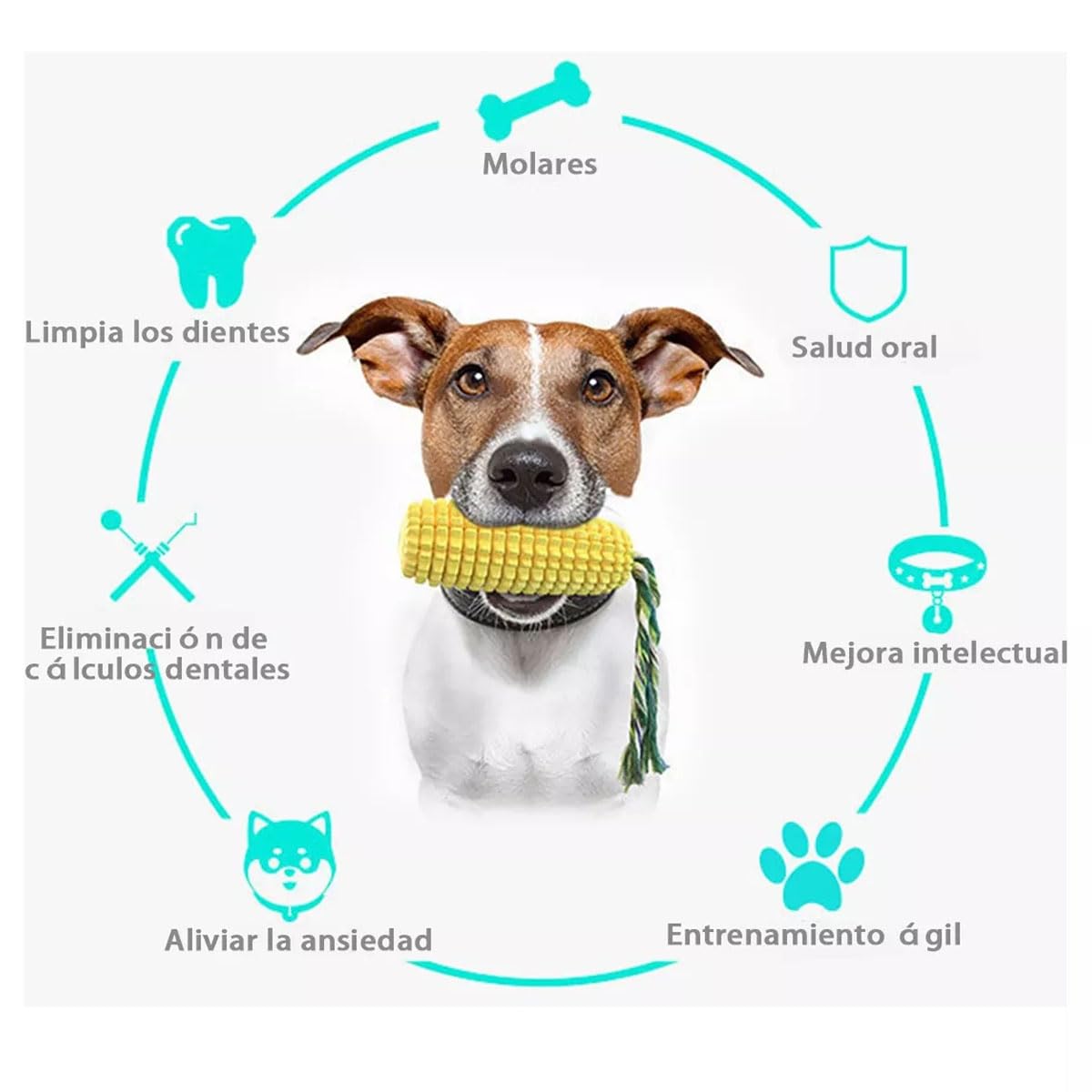 DJHOHJ Palillo de Cepillo de Dientes para Perros,Juguete de Caucho Natural Duradero Juguete para Masticar para Perro,Juguetes agresivos para Perros pequeños, medianos y Grandes
