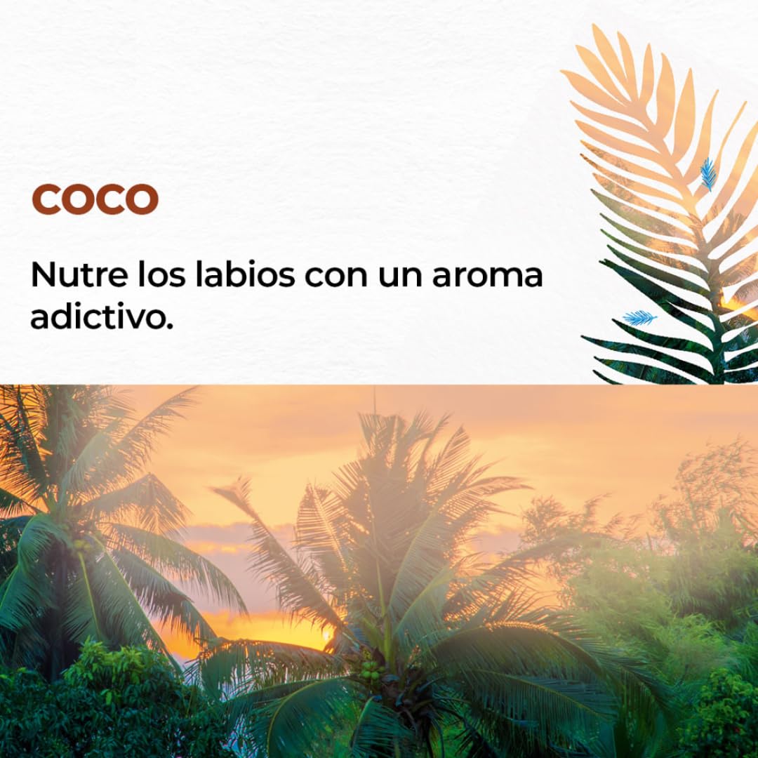 Yves Rocher 3 PACK de Bálsamos humectantes para labios, con Vitamina E y Aceites naturales, sin color: 1 Labial aroma a COCO + 1 Labial aroma KARITÉ + 1 Labial aroma Vainilla (4.8g C/U)
