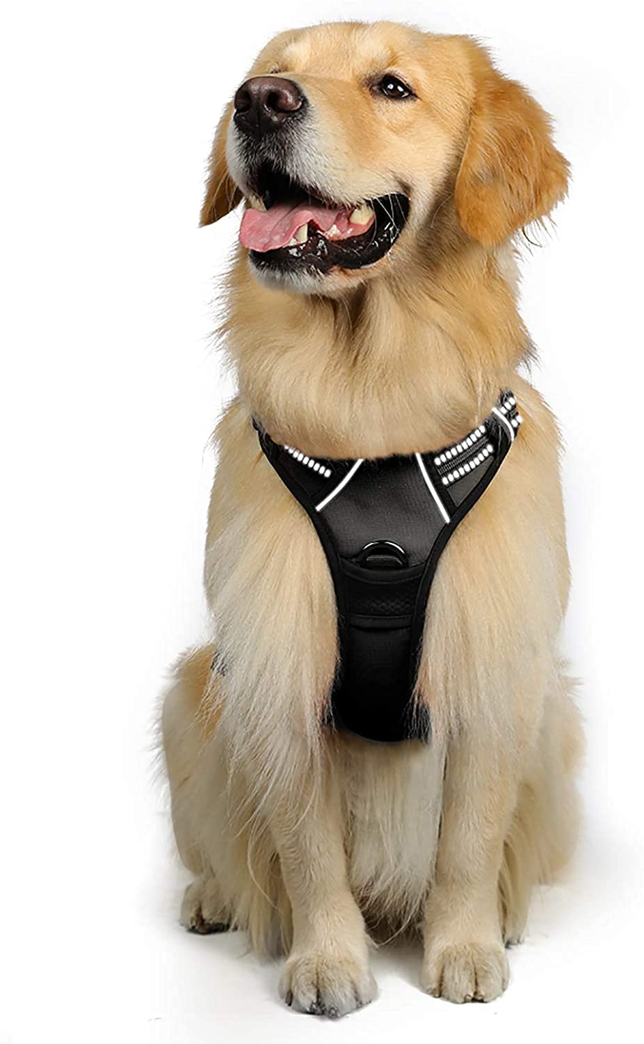 Arnés para Perro Rabbitgoo Negro XL con Líneas Reflectantes y Chaleco Acolchado Ajustable