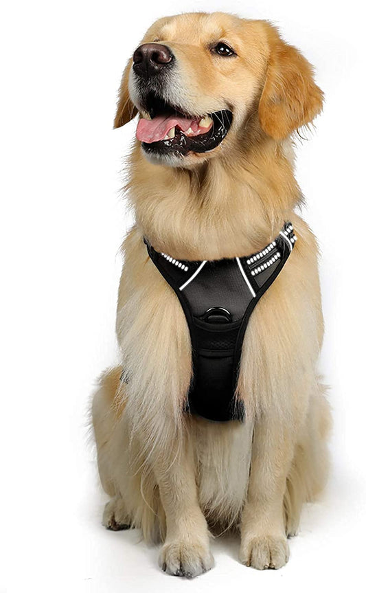 Arnés para Perro Rabbitgoo Negro XL con Líneas Reflectantes y Chaleco Acolchado Ajustable