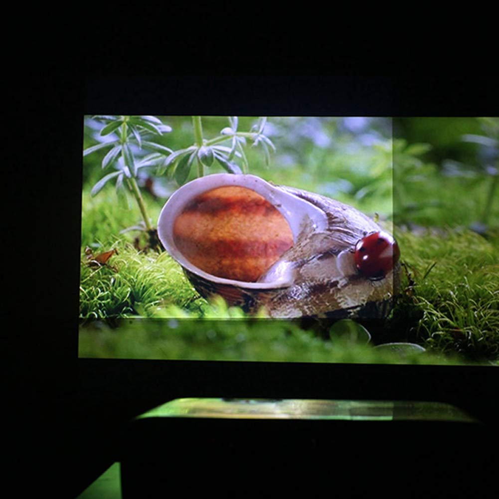 Bewinner 100 Pulgadas Pantalla de Proyector Pantalla de Proyector HD 16: 9 Película 3D Pantalla de Proyección Portátil Plegable para Películas de Cine en Casa, Capacitación en el Aula 100inch