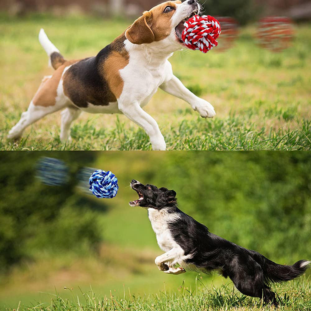 Juguete Masticable Wellbro Multicolor con Nudos de Algodón para Mascotas en Pack de 3