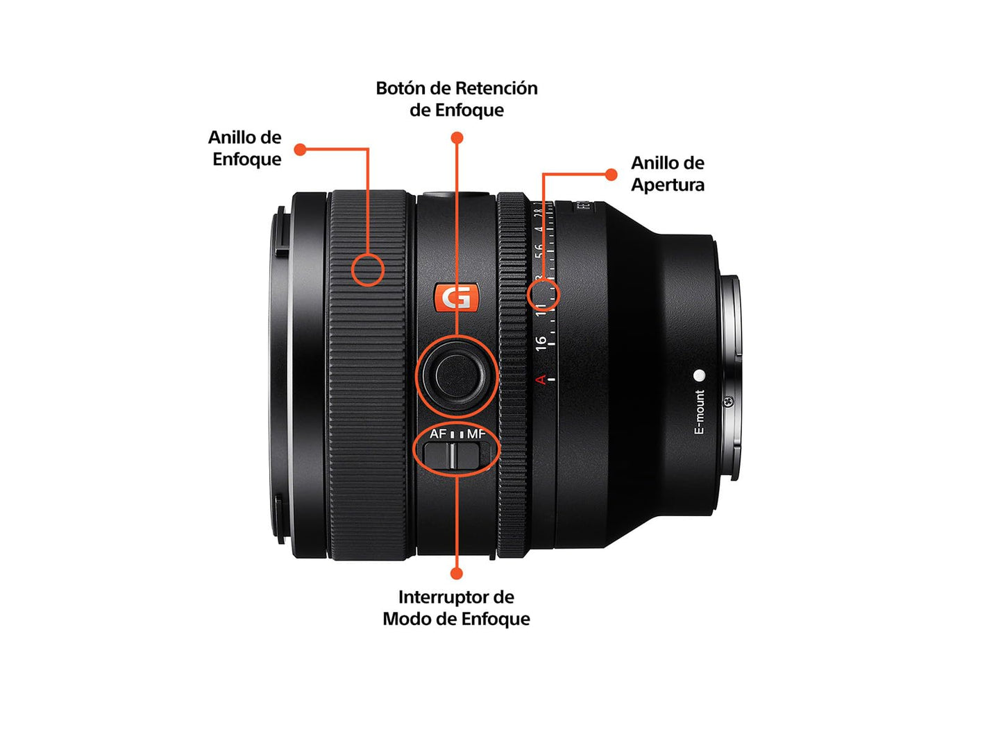 Sony Lente G Master SEL50F14GM FE 50mm F1.4 Prime estándar Full-Frame de resolución y Bokeh extraordinarios