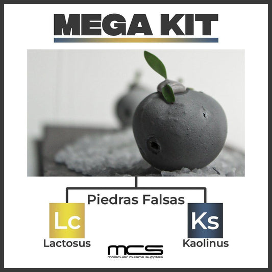 Lactosa USP (Lactosus) 500g Cocina Molecular