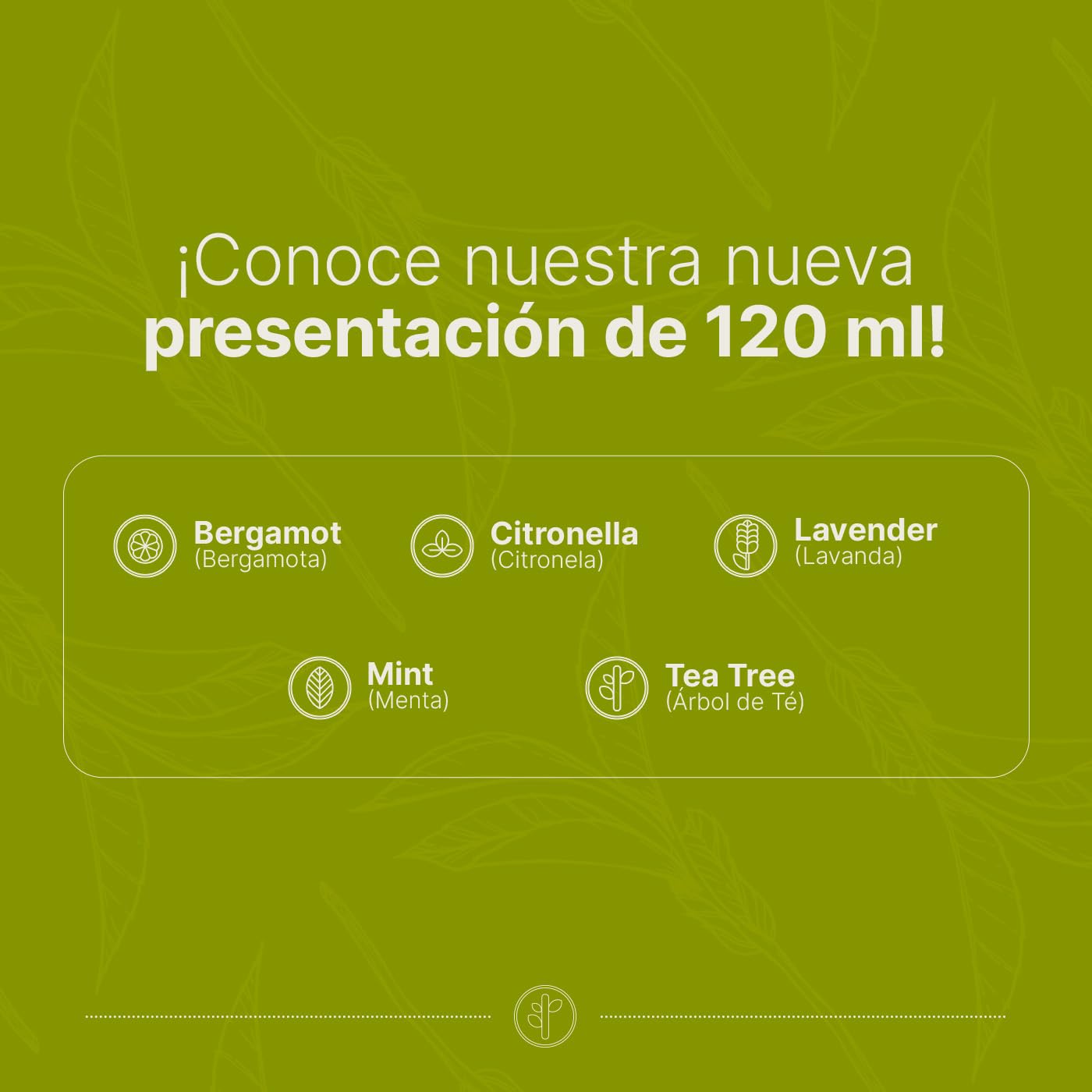 Aceite Esencial B Life Árbol de té Aromalogía 120 ml Ingredientes Puros y Naturales