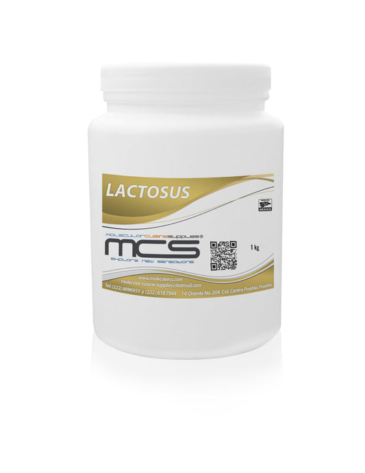 Lactosa USP (Lactosus) 1 KG Cocina Molecular