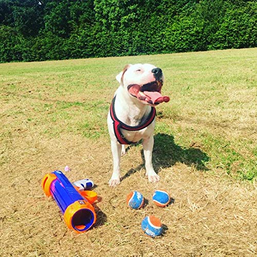 Lanzador de Pelotas de Tenis de 16 Pulgadas Nerf Dog Medio Compacto