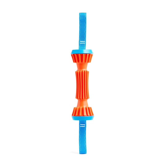 Chuckit! Rugged Bumper Dog Toy, Small
