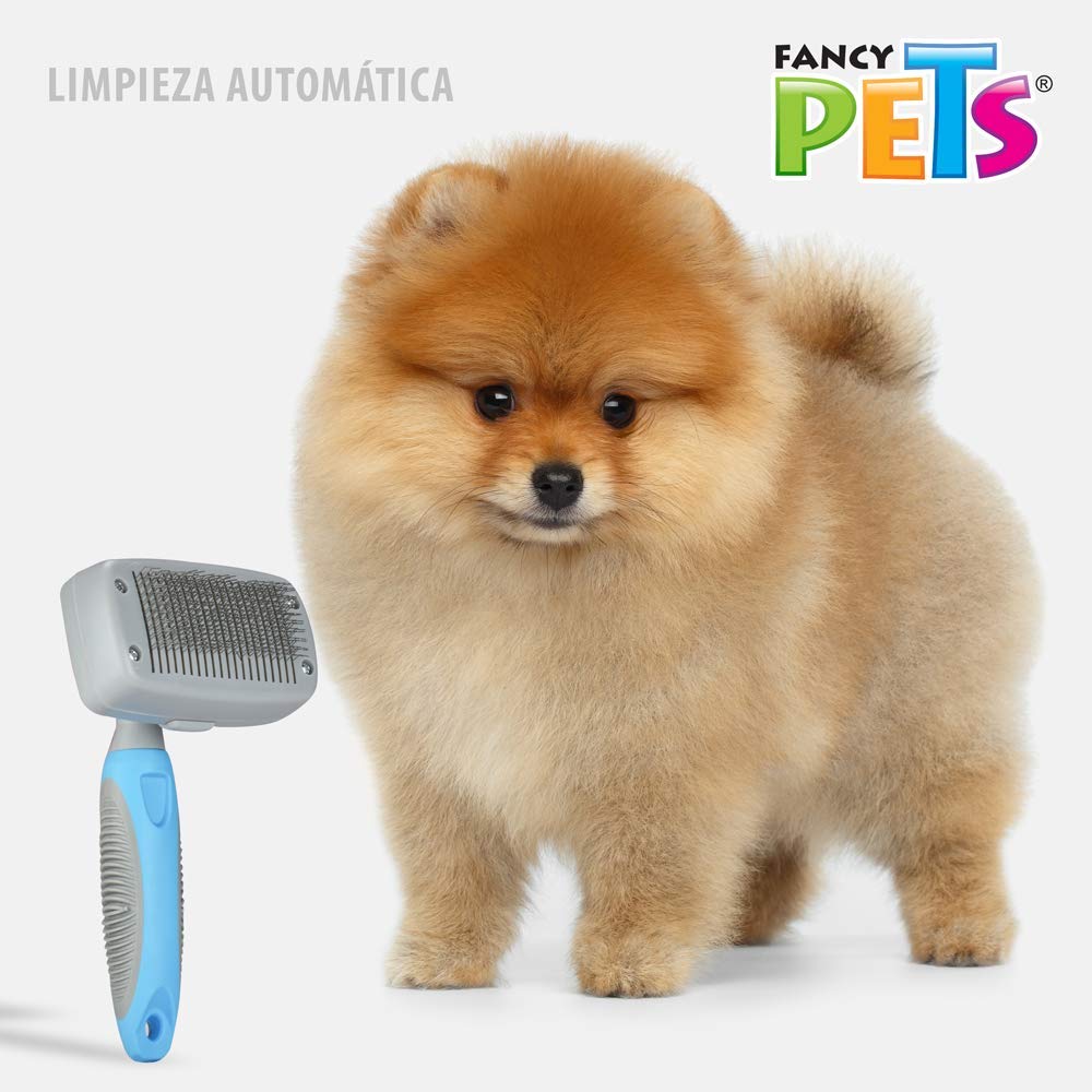 Carda Autolimpiante Fancypets Chico