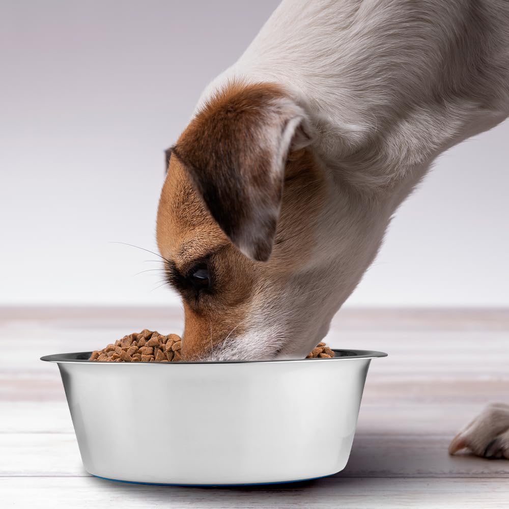 Fancy Pets Plato de Acero Inoxidable Antiderrapante para Perro con 96 Onzas o 2.7 Kilos