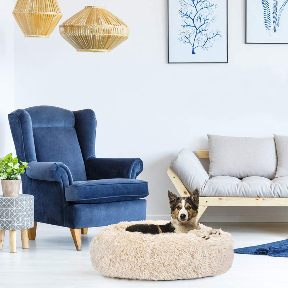 Cama de Mascotas SlowTon Beige Súper Suave y Antideslizante para Gato y Perro Pequeño Mediano